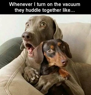 FB_IMG_16180221266719750.jpg