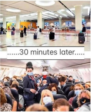 plane.jpg