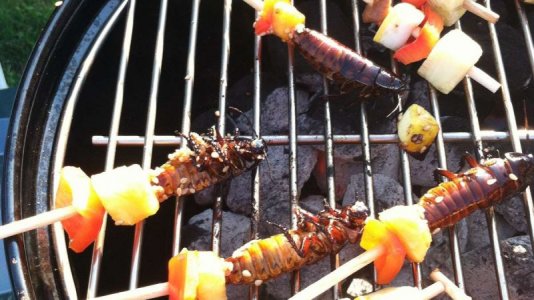 edible_insects_20140128_1445298870[1].jpg