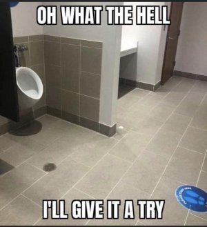 8d7rf83rnzd51.jpg