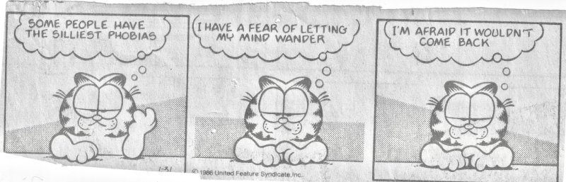 Garfield.jpg
