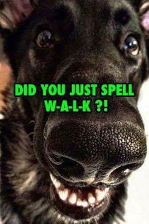 172103140_792375651394024_5402188476038174015_n[1].jpg
