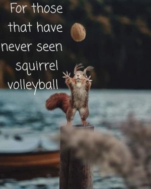 169926215_574218623980605_2666791167131836636_n[1].jpg