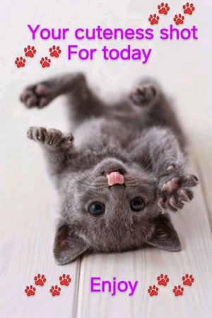 FB_IMG_16182059471889434.jpg