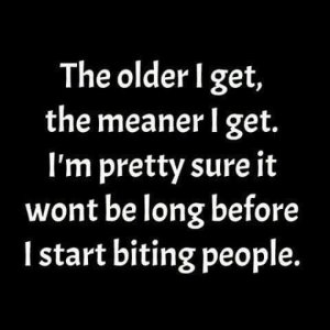 The Older I get the Meaner I get tee.jpeg