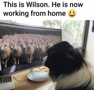 165789744_2348390721969075_4384295789223847240_n[1].jpg