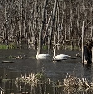 DA0669D3-CFDC-4282-AB02-636AF1D65982.jpeg