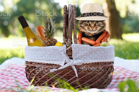 istockphoto-486014548-1024x1024.jpg
