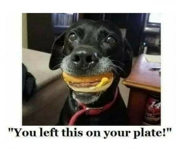 173174886_793417724623150_2459621101035678357_n[1].jpg