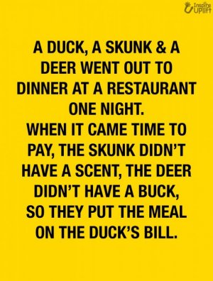 Skunk & Duck Bill.jpg