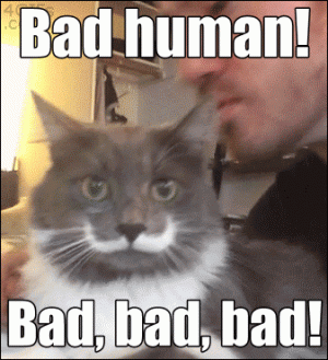 9fddd6eaa5c71f6c63f08313ab3d4e67.gif