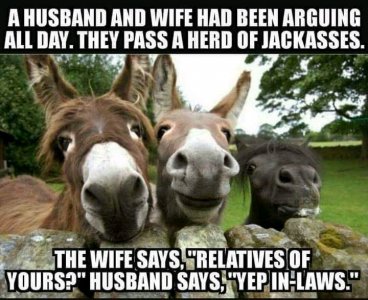 FB_IMG_16183929253114294.jpg