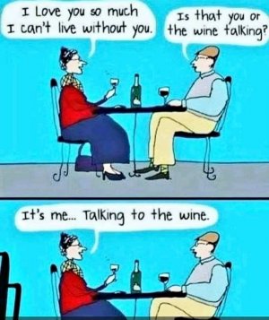 FB_IMG_16184679648591473.jpg