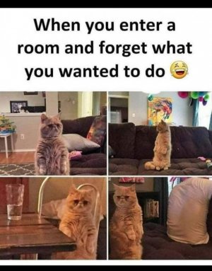 170346574_582779703124497_2507026230067943806_n[1].jpg
