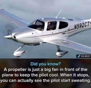 136060964_3957141854297274_8638286185199389060_n.jpg