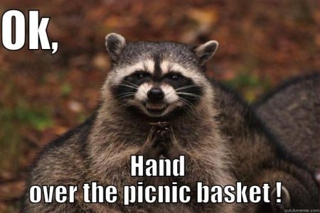 hand-over-picnic-meme.jpg