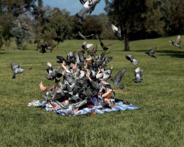 letshaveanicepicnic_747485.jpg