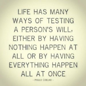 63449-Life-Has-Many-Ways-Of-Testing-A-Person-s-Will.jpg