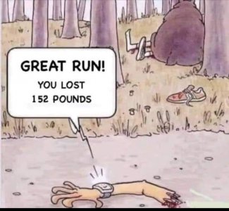 greatrun.jpg
