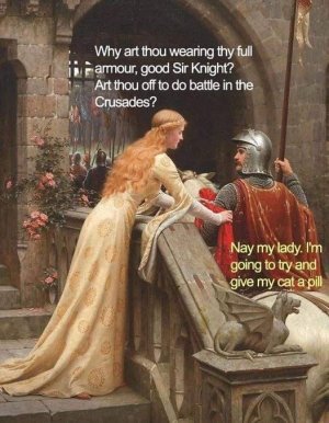 fullarmour.jpg