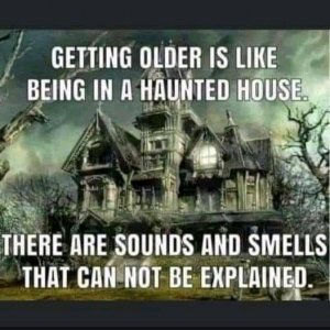 FB_IMG_16187929980077484.jpg