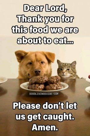 FB_IMG_16187912413727566.jpg
