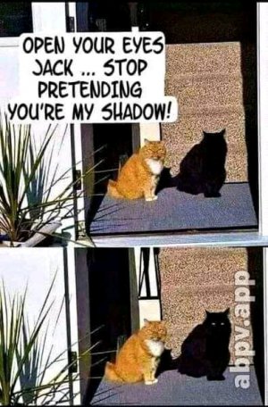 FB_IMG_16187912161556145.jpg