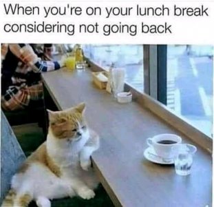 FB_IMG_16187909767364054.jpg