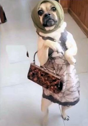 Auntie @.jpg