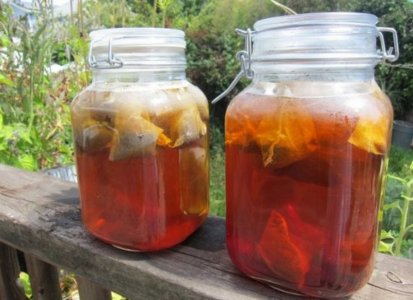 suntea-ccflcr-wwwphotosbyalyssacom_.jpg