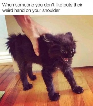 FB_IMG_16188152621429557.jpg