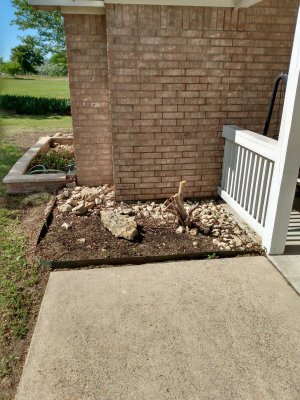 IMG_20210419_162026906_HDR.jpg IMG_20210419_162026906_HDR.jpg