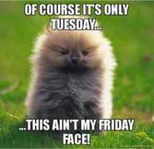 tuesday-memes-10-720x696[1].jpg