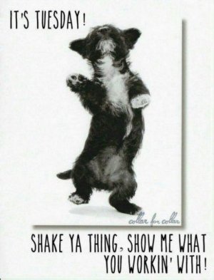 tuesday-memes-57-720x944[1].jpg