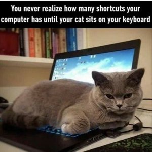 175721486_797027320928857_1791789906992319643_n[1].jpg