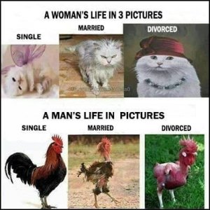 menandwomen.jpg