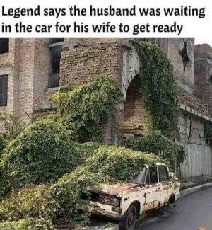 FB_IMG_16189779778929319.jpg