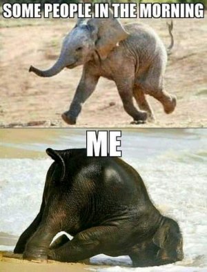 FB_IMG_16190601713032028.jpg