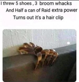 FB_IMG_16190601574335645.jpg