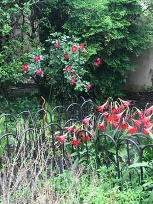 IMG_0760.jpeg