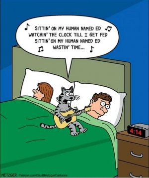 FB_IMG_16190736198039892.jpg