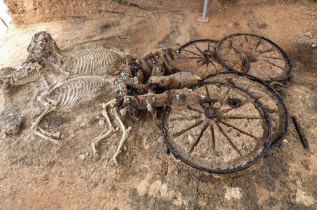 chariot.jpg
