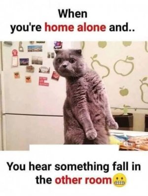 homealone.jpg