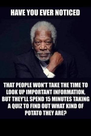 impinfo.jpg