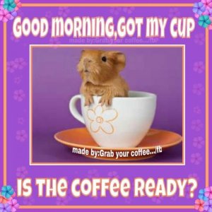 31FB890E-4B47-4890-AA70-5F97B0AF3748.jpeg