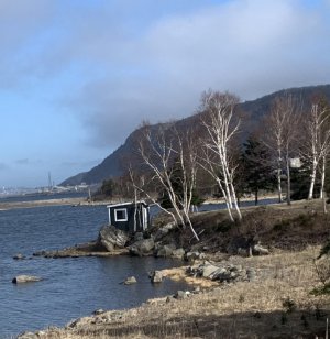 1A38D574-B0B9-4397-A21C-D330EE77B1D6.jpeg