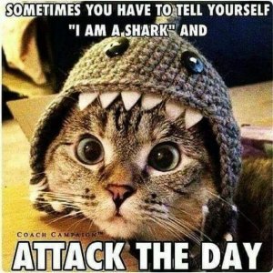 c29831f32d8132ed4caa7256e4e669c7[1].jpg