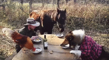 200 (1).gif