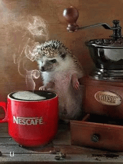 dff80a2ff4d0a973b897dbd639594a00.gif