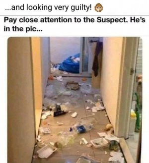 FB_IMG_16193131746859239.jpg